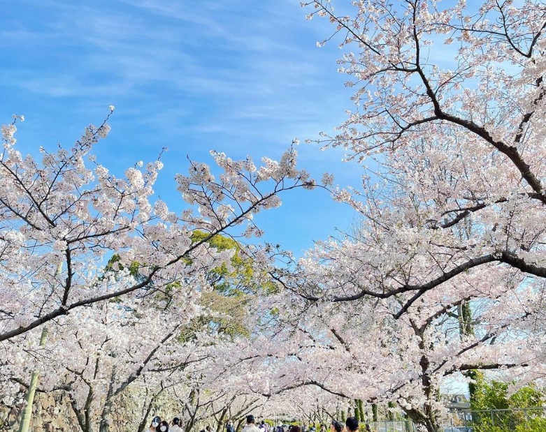 후쿠오카 2박3일 여행일정 후쿠오카 오호리공원