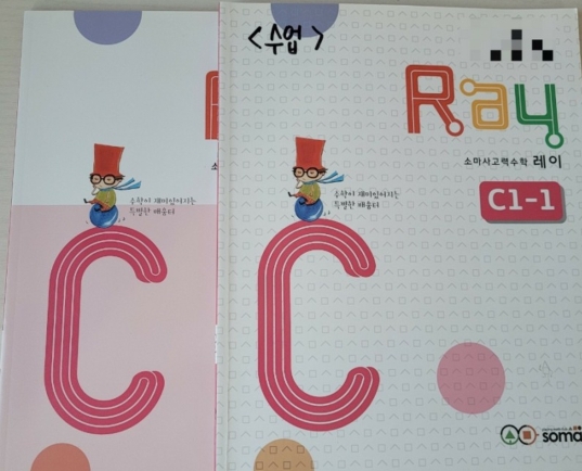소마 교재 레이