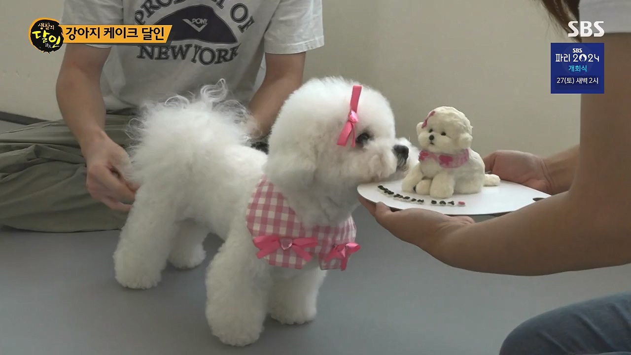 생활의 달인.E945.240723p-NEXT.mp4_20240723_194536.554.jpg