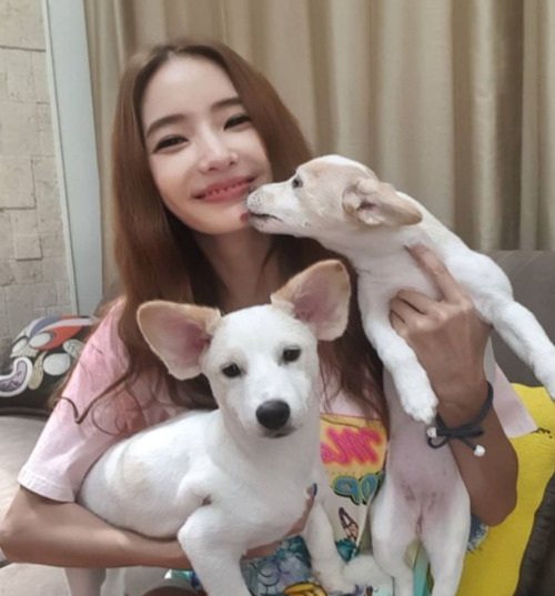 한채영 남편과의 러브스토리 재조명