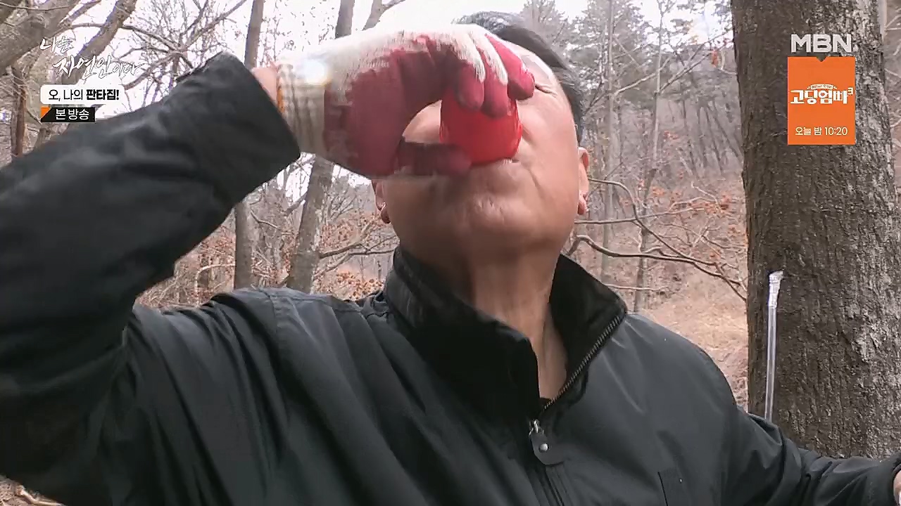 나는 자연인이다.E546.230323p.H264-F1RST.mp4_20230323_201530.633.jpg