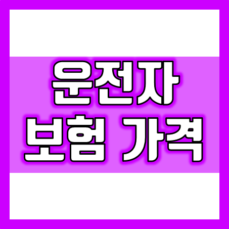  운전자보험 가격, 실속형vs고급형vs프리미엄 중 어떤 게 좋을까요?