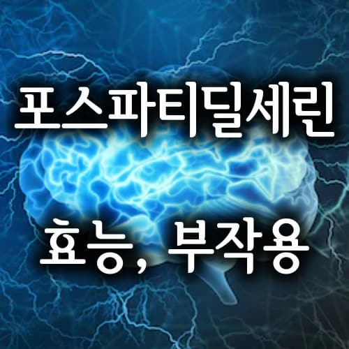  치매 예방 포스파티딜세린 가루 효능 부작용/phosphatidylserine