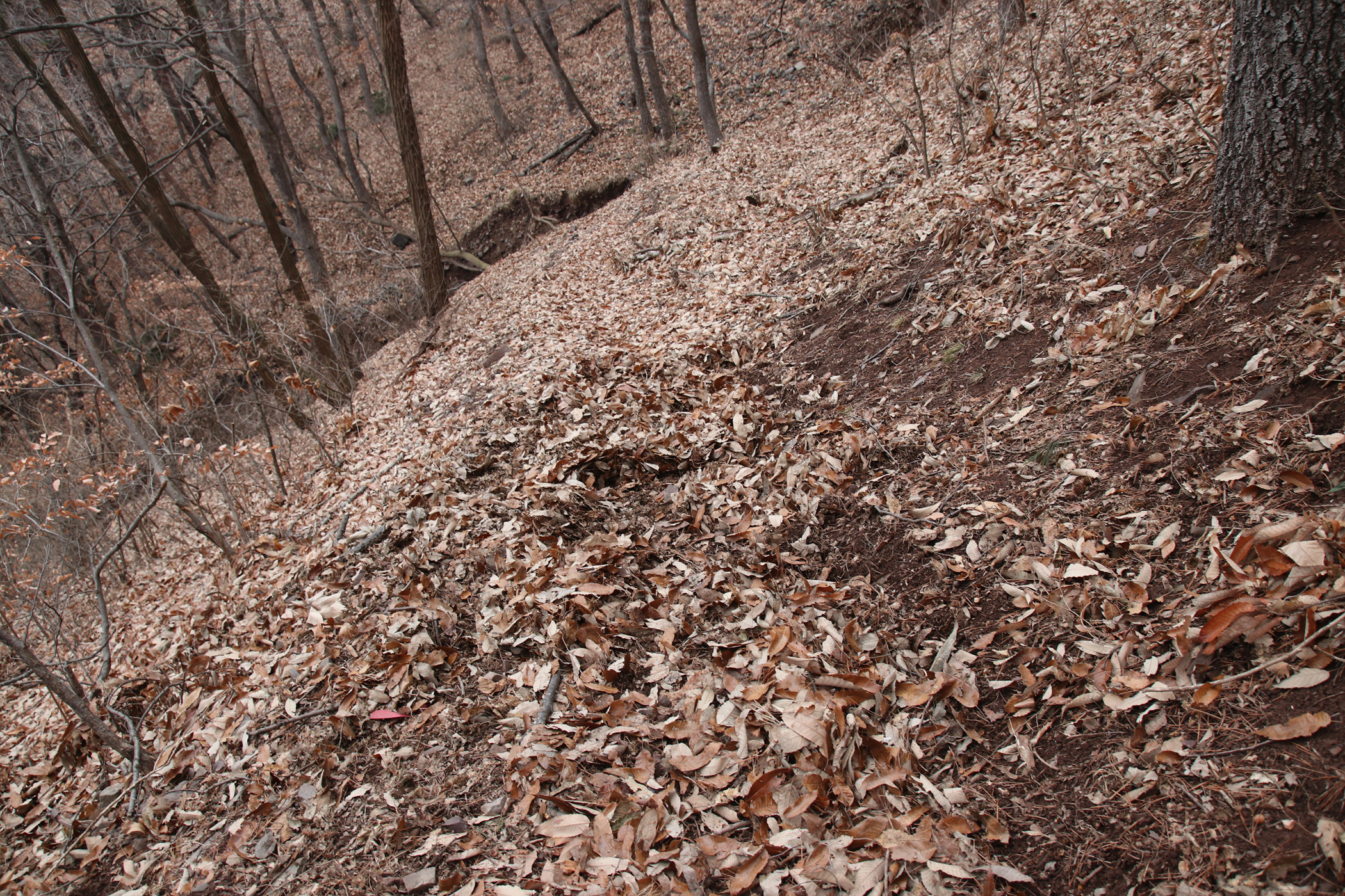 경남 의령군 국사봉 05 49