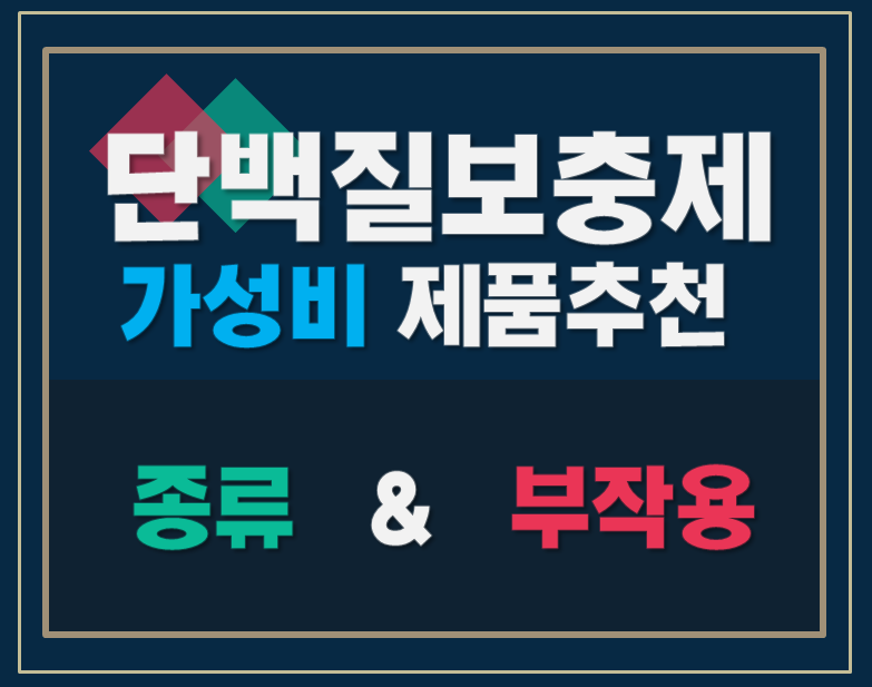  단백질 보충제 추천