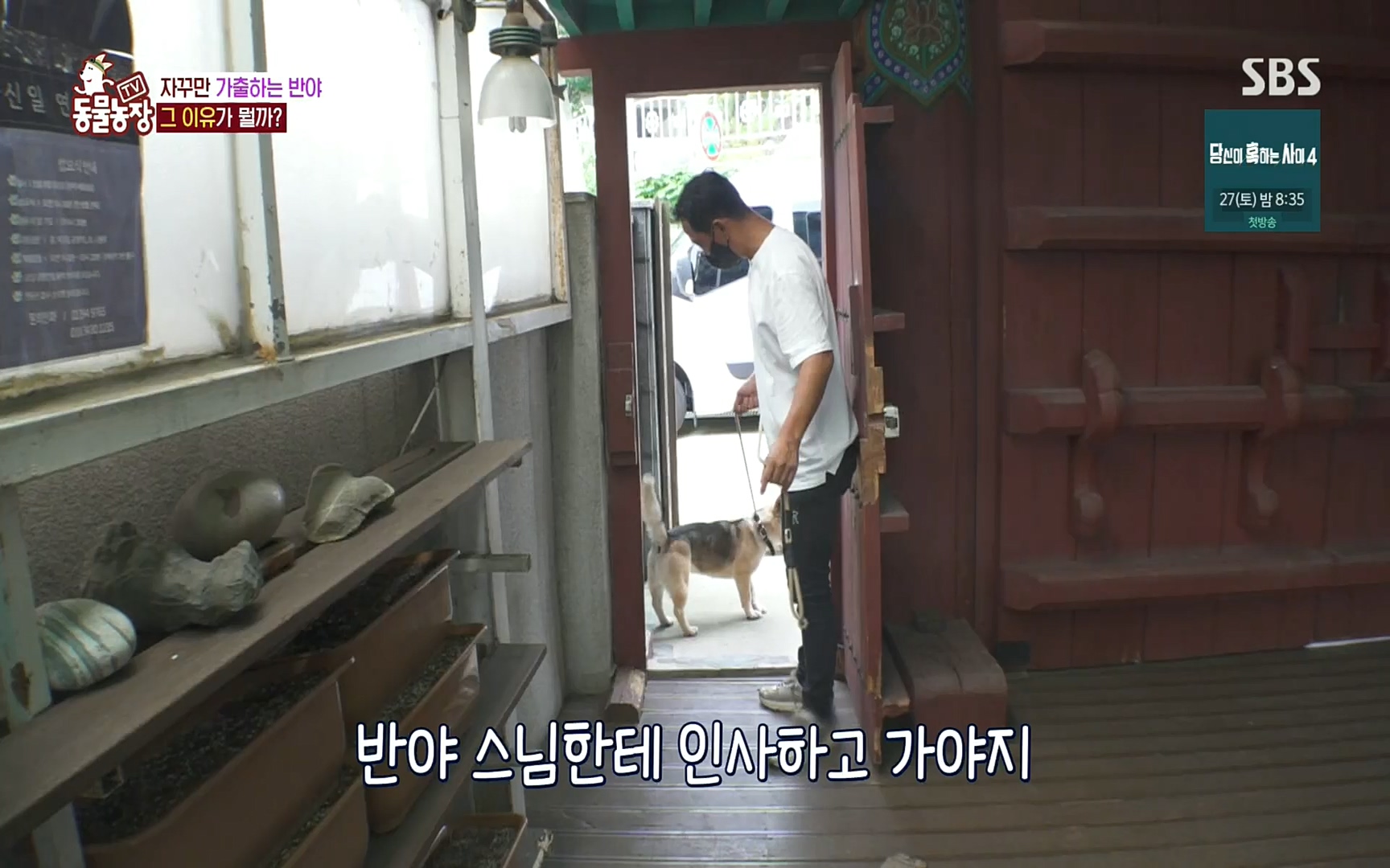 TV 동물농장.E1083.220821p.H264-F1RST.mp4_20220821_183710.892.jpg