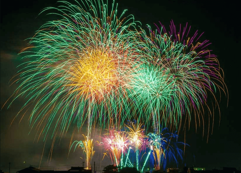 2025 구례산수유 축제관련사진