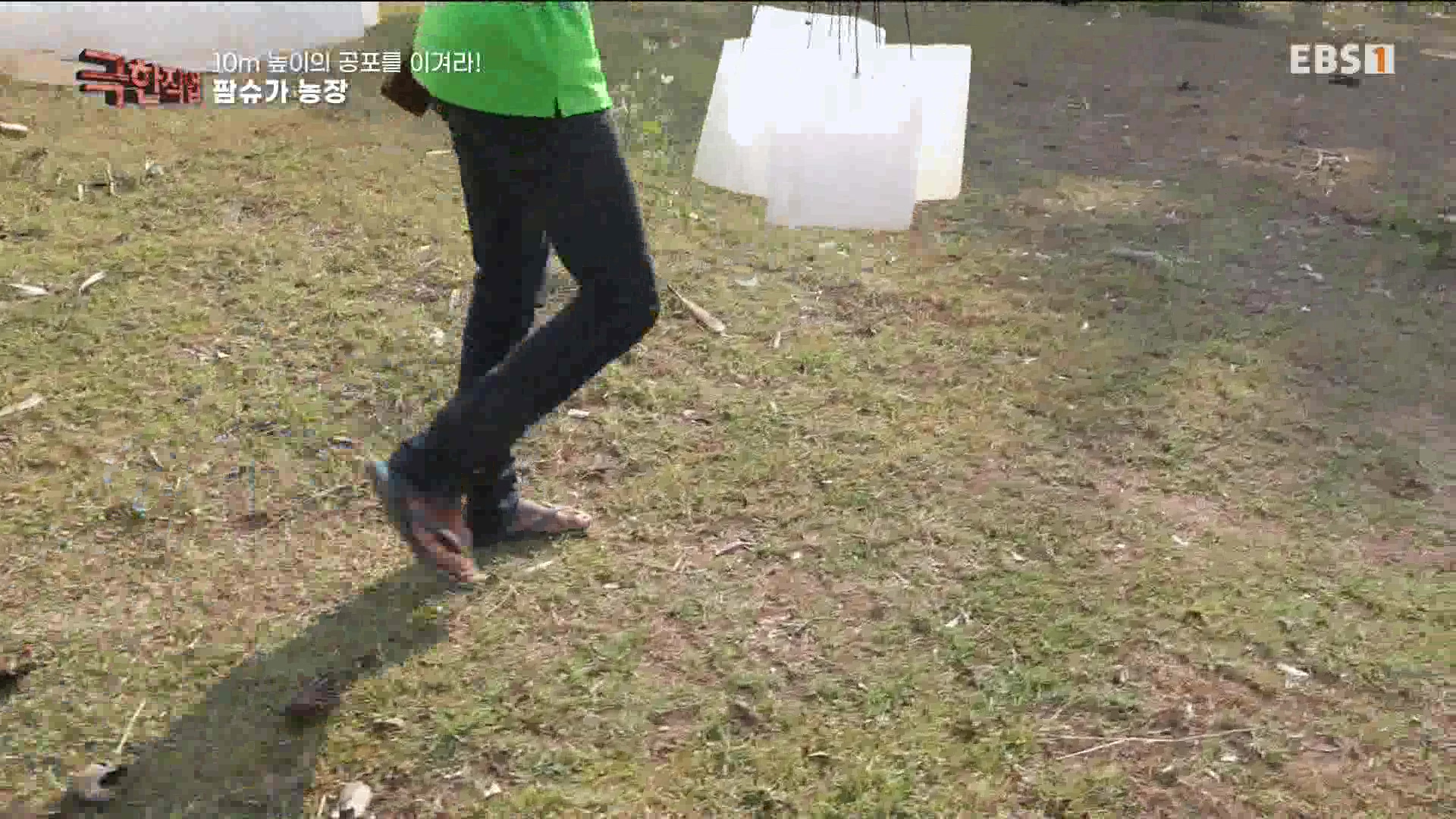 [극한 직업] 캄보디아 팜슈가 농장 230624.mp4_20230701_185229.655.jpg