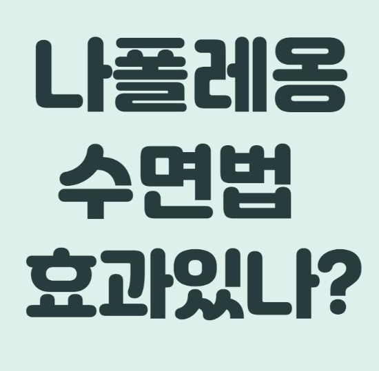  나폴레옹 수면법 장점과 단점
