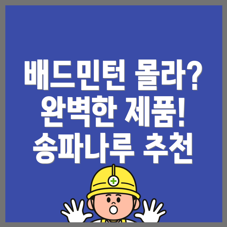 송파나루역 배드민턴