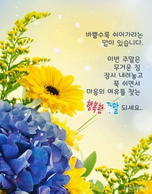 당신을 만났으면 좋겠습니다 1