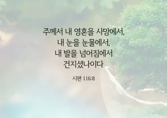 시편 84장 11절 읽기 - 여호와 하나님은 해요 방패이시라 여호와께서 은혜와 영화를 주시며_13