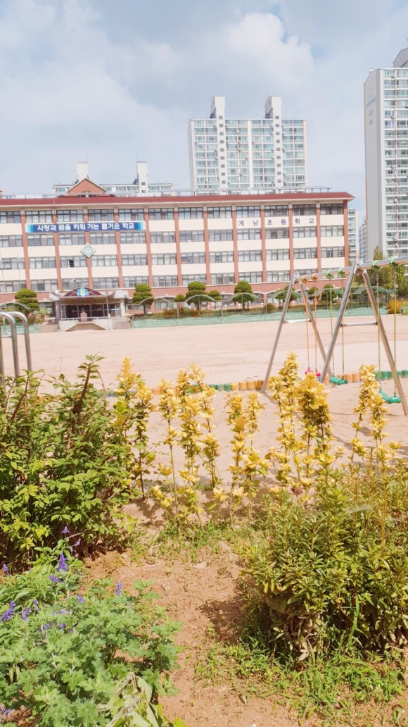 화이자 2차 접종 검토(부작용, 2차 잔류백신, 백신예약취소, 음성출혈, 부작용) 10