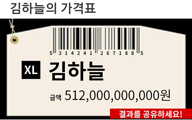 김하늘의 브랜드 가치