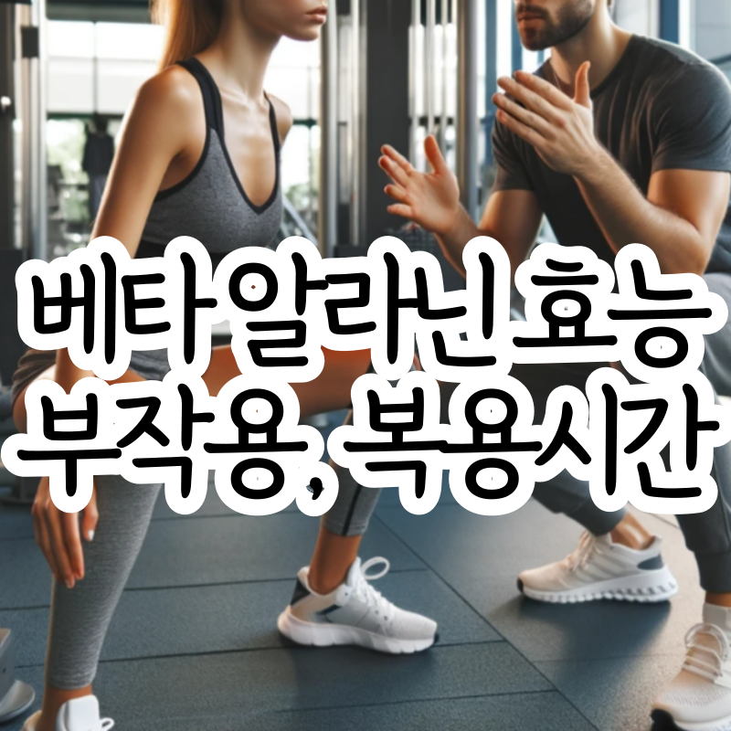 베타알라닌 효능 부작용 베타 알라닌 복용법