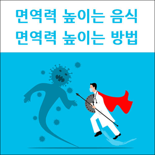 면역력 높이는 음식 및 방법 - 앰버 D 팩토리 면역력 높이는 음식 및 방법 - 앰버 D 팩토리