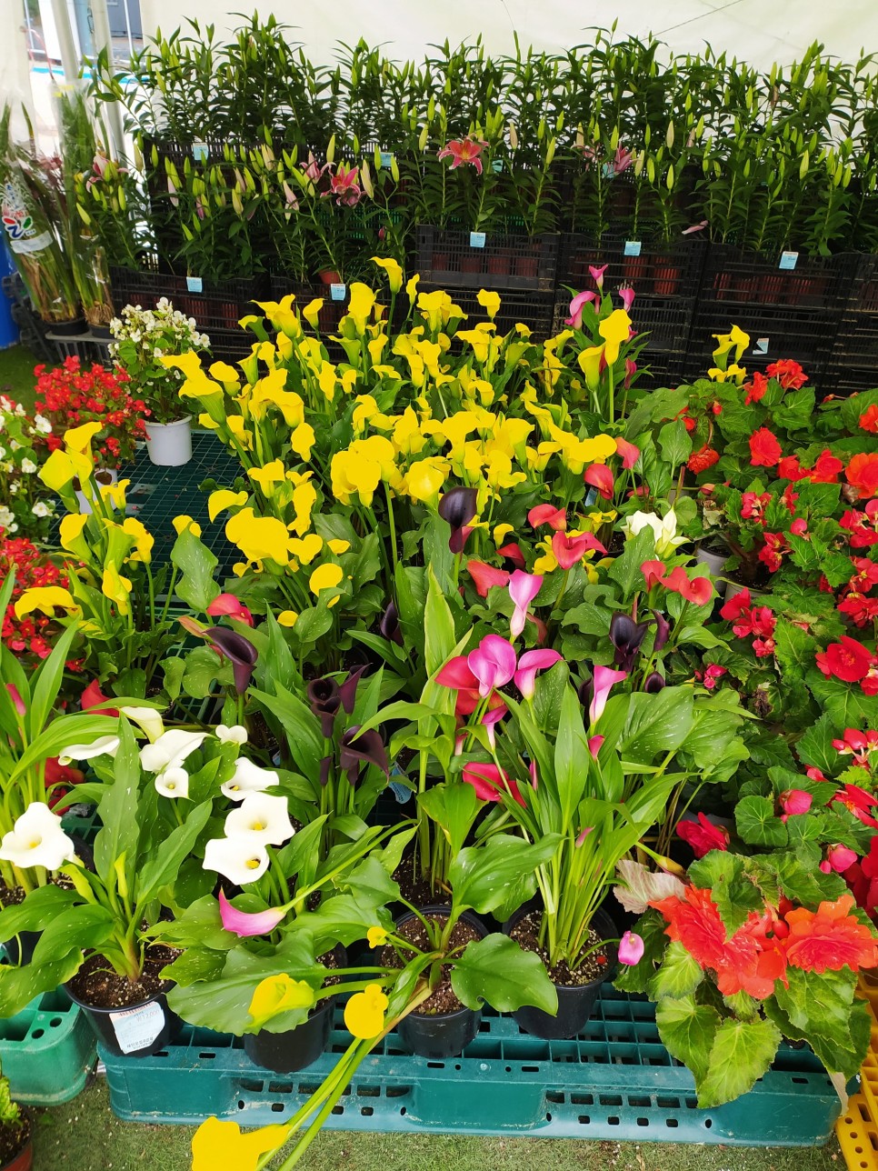 몽산포 물때표 태안 : 몽산포 물때표확인 8