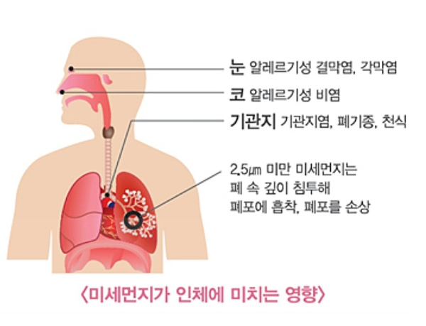 미세먼지가 인체에 미치는 영향