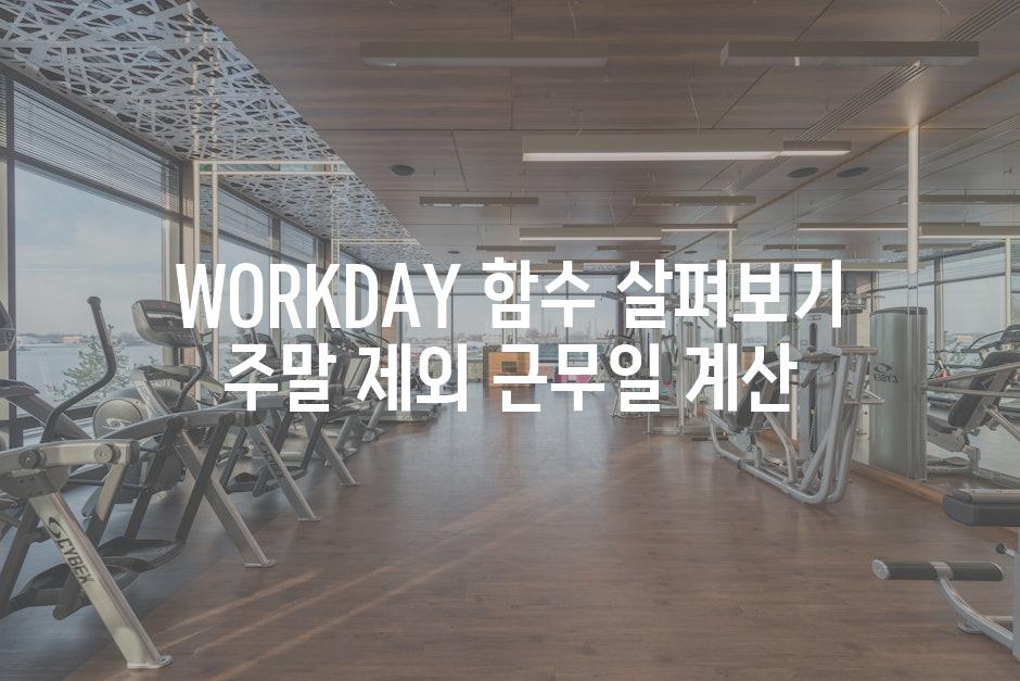 WORKDAY 함수 살펴보기 주말 제외 근무일 계산