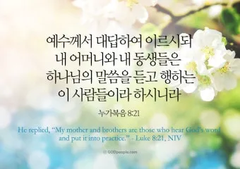 매일 성경 묵상 누가복음 8장 씨뿌리는 자_32