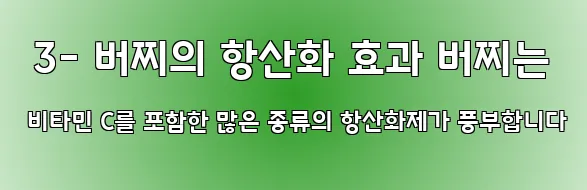  3- 버찌의 항산화 효과 버찌는 비타민 C를 포함한 많은 종류의 항산화제가 풍부합니다
