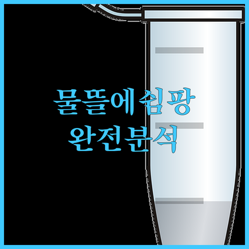 물뜰에쉼팡 완전 분석 해수욕장 근처 