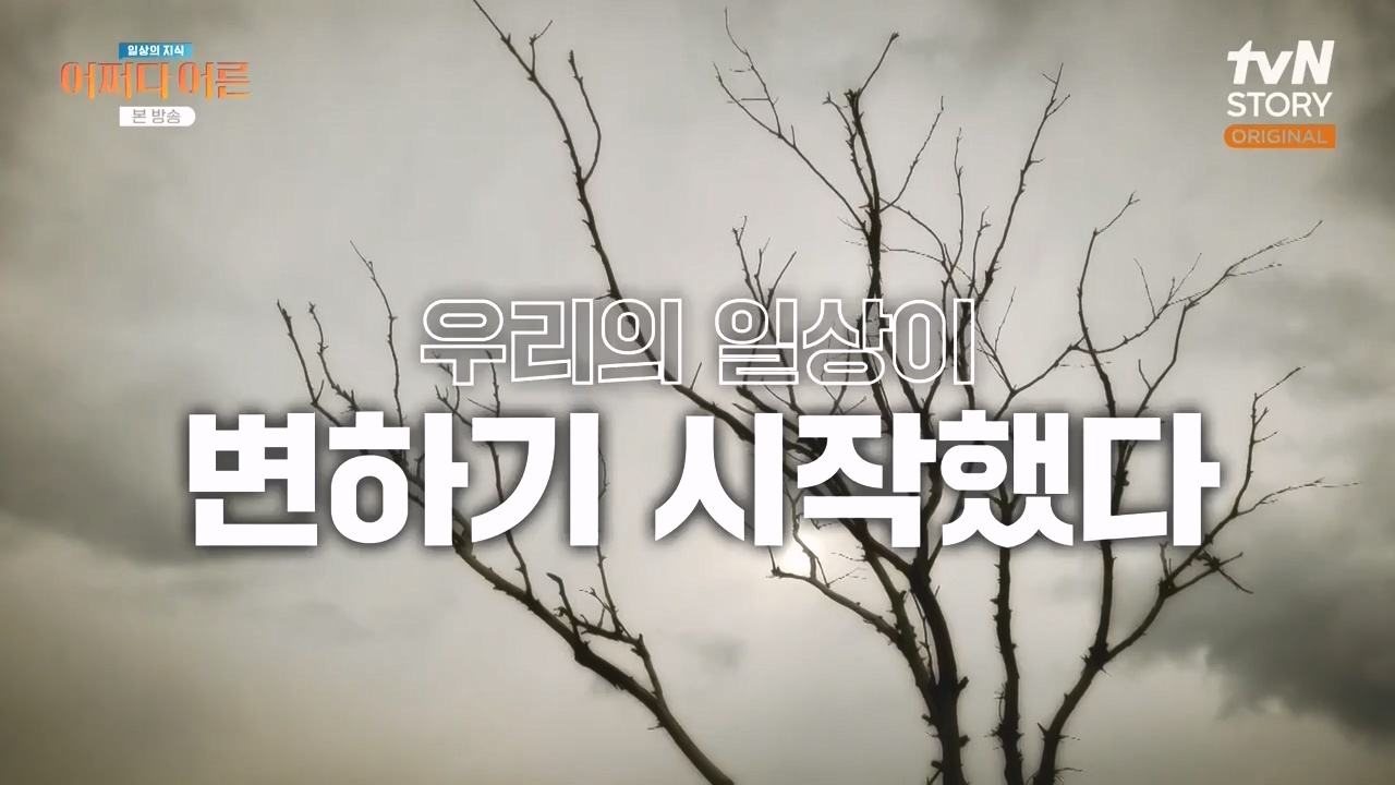 어쩌다 어른.E55.240508p-NEXT.mp4_20240508_202519.041.jpg