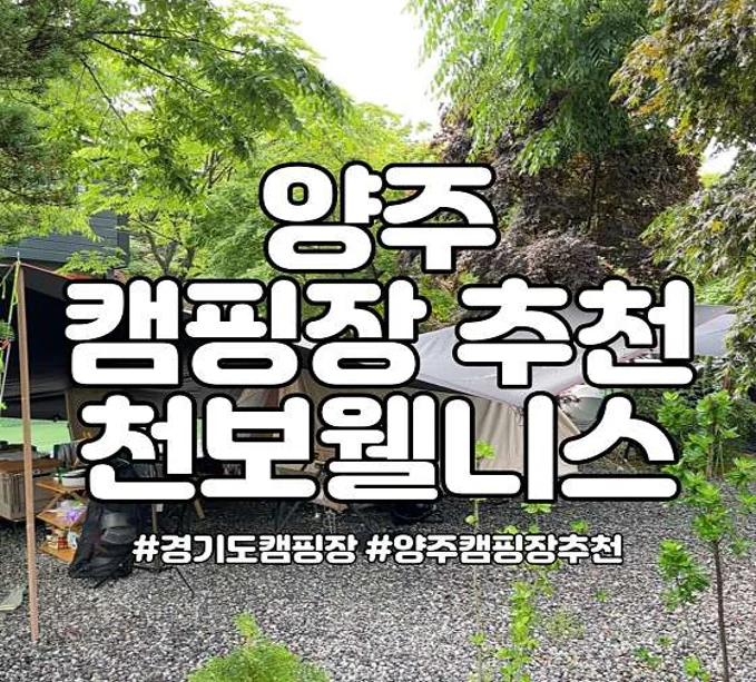천보웰니스
