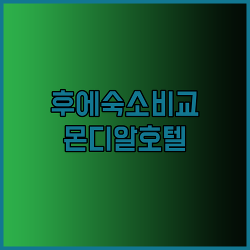 후에 여행 숙소 고민 끝! 몬디알 호