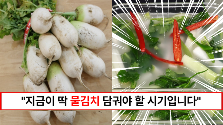 “지금 아니면 1년간 못 먹습니다” 1년 내내 두고두고 먹는 천연소화제 물김치 만드는법