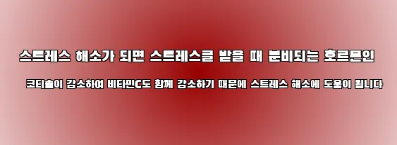  스트레스 해소가 되면 스트레스를 받을 때 분비되는 호르몬인 코티솔이 감소하여 비타민C도 함께 감소하기 때문에 스트레스 해소에 도움이 됩니다