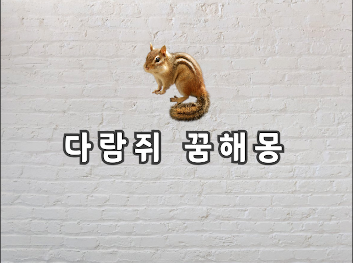  다람쥐 꿈해몽 다람쥐 꿈을 꾼 것은 과연 어떤 의미일까요?