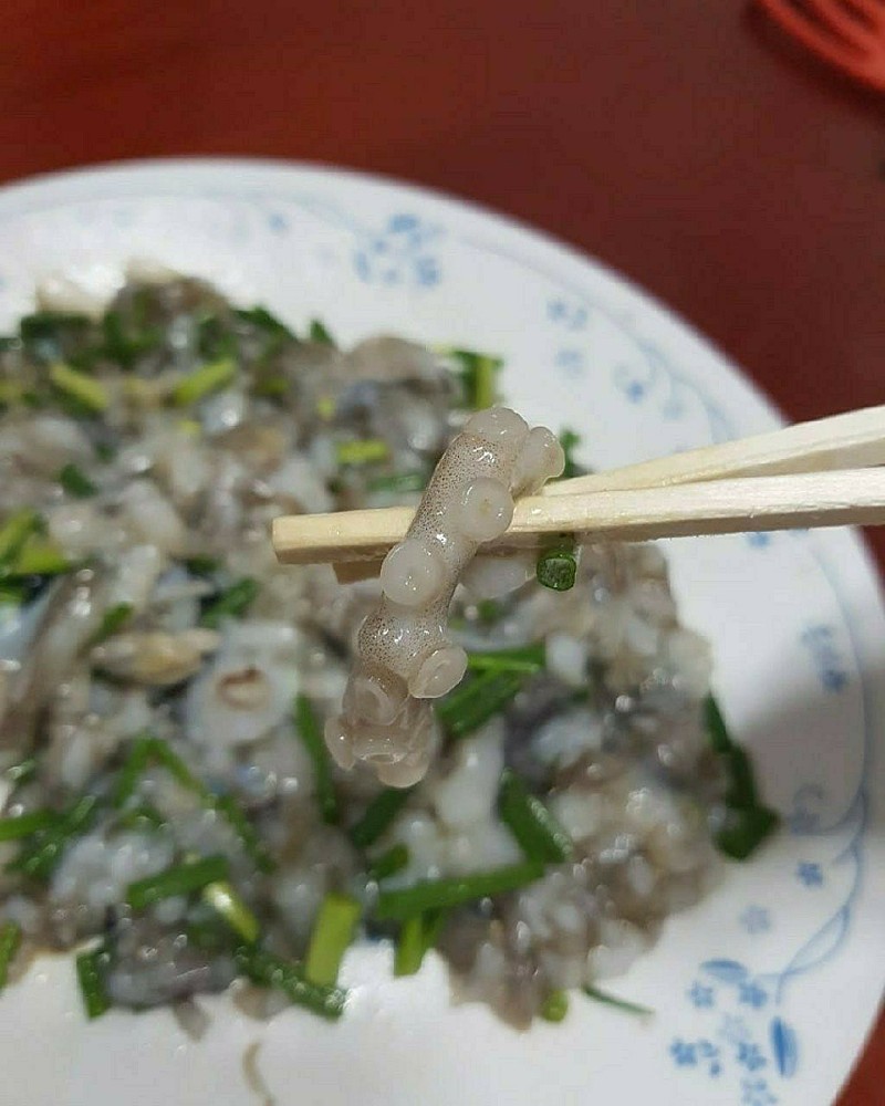 무안뻘낙지 이미지