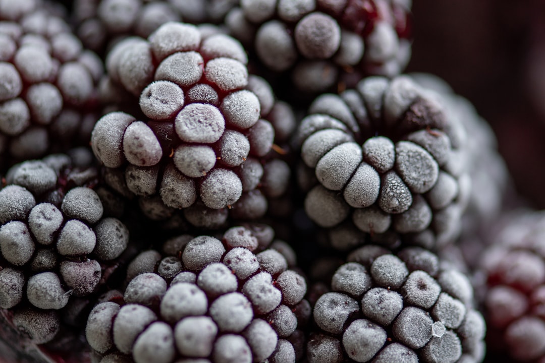 Frozen Foods