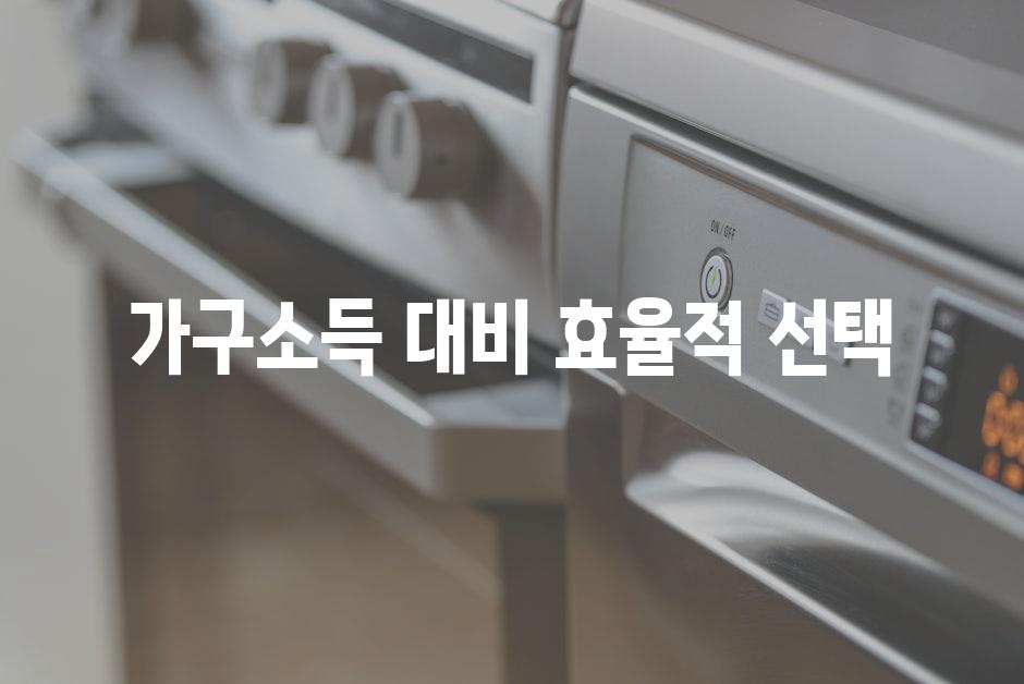 가구소득 대비 효율적 선택