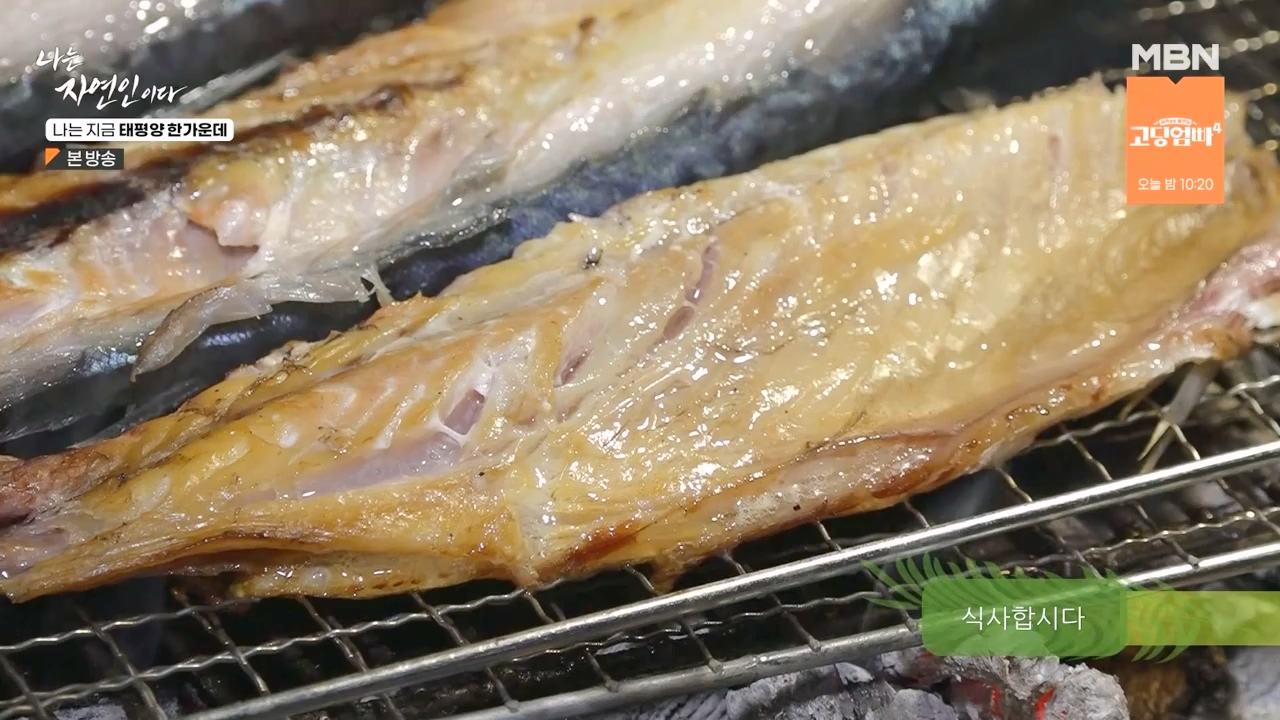 나는 자연인이다.E581.231123p-NEXT.mp4_20231123_200722.154.jpg