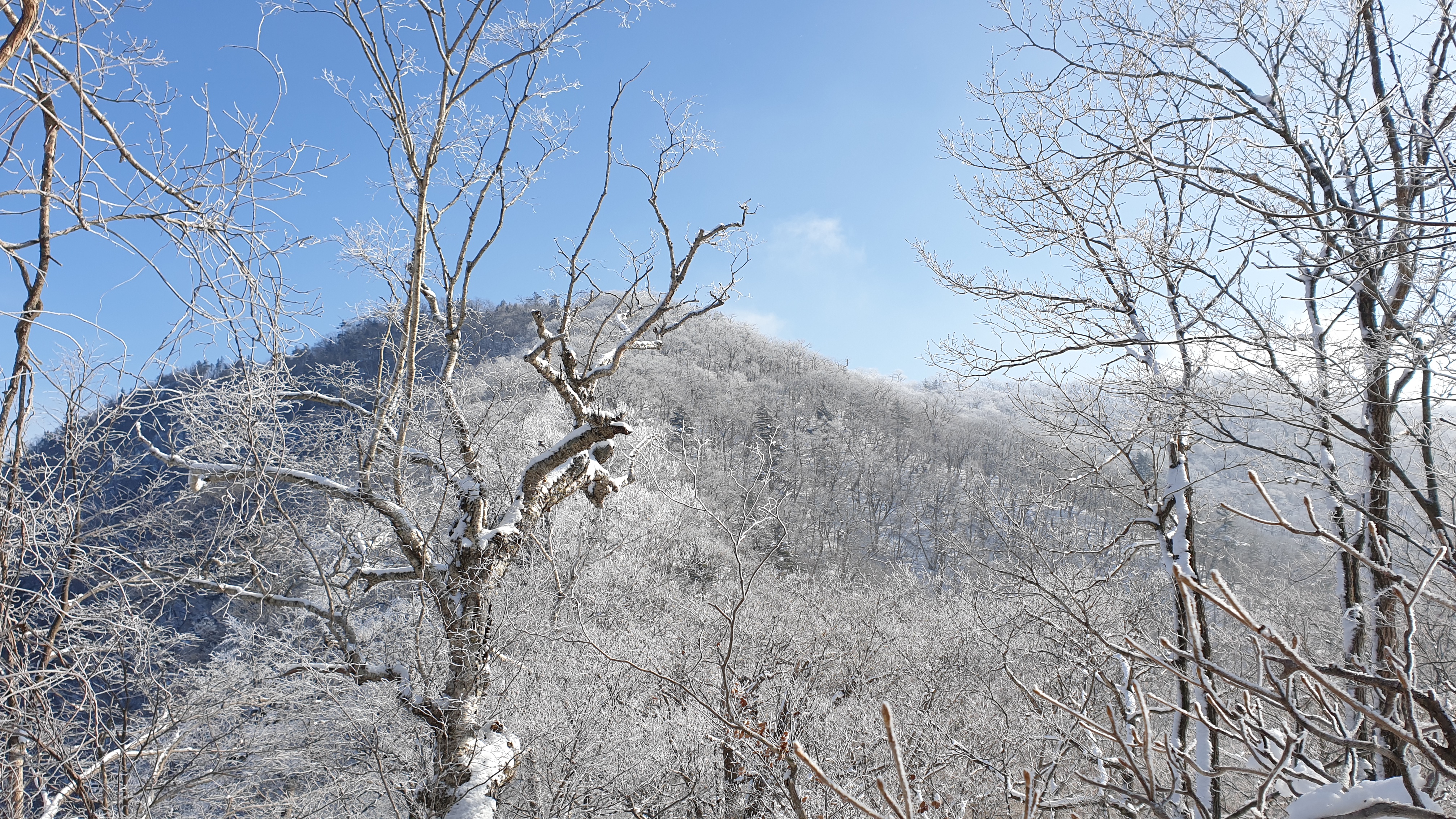  홍천 구룡령 약수산의 겨울
