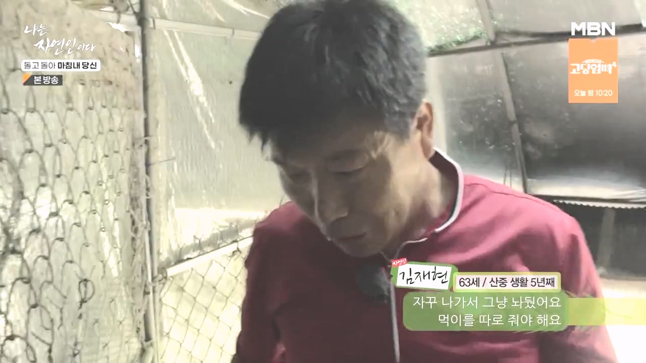 나는 자연인이다.E577.231026p-NEXT.mp4_20231026_200405.309.jpg