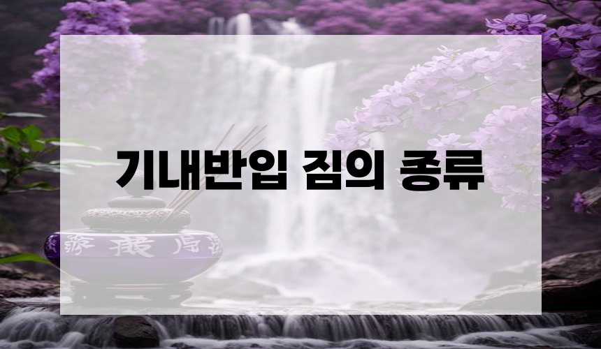 5. 기내반입 짐의 종류