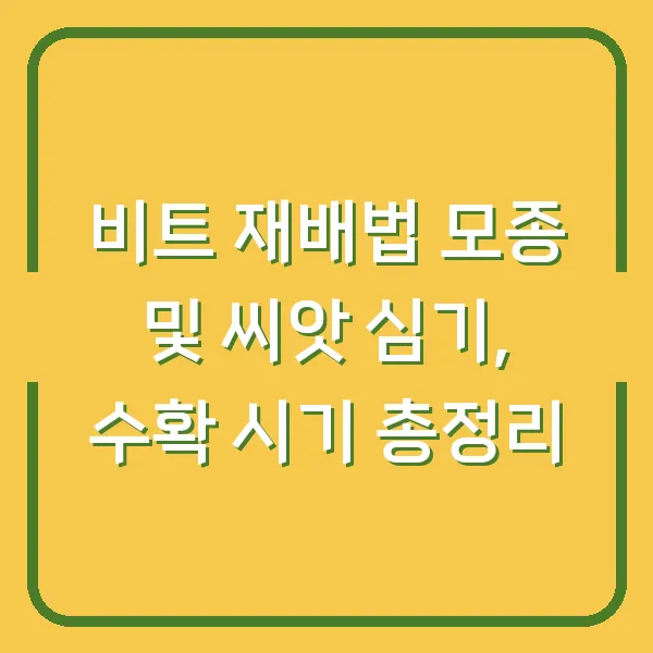 비트 재배법 모종 및 씨앗 심기, 수확 시기 총정리