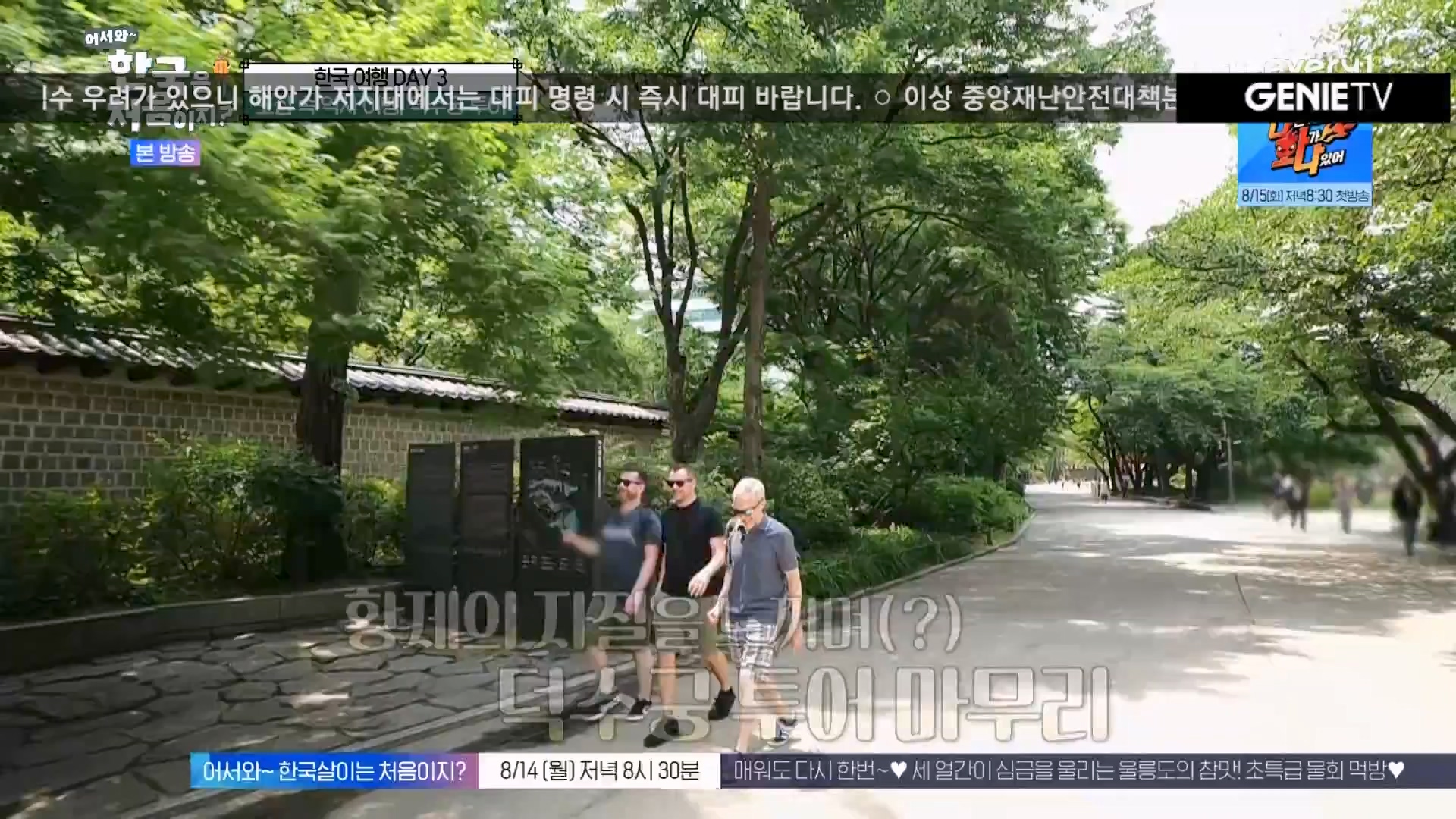 어서와 한국은 처음이지.E275.230810p.WANNA.mp4_20230811_204451.522.jpg