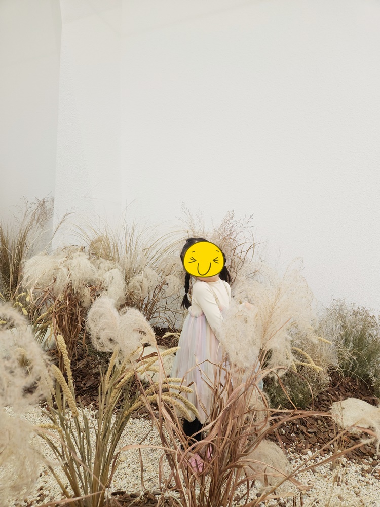 카페베리파이브 이미지