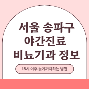 서울 송파구 야간진료 비뇨기과 병원 (18시 이후 늦게까지하는 병원)