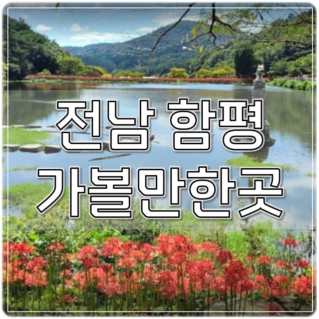  전남 함평 가볼만한곳 베스트7(최신)
