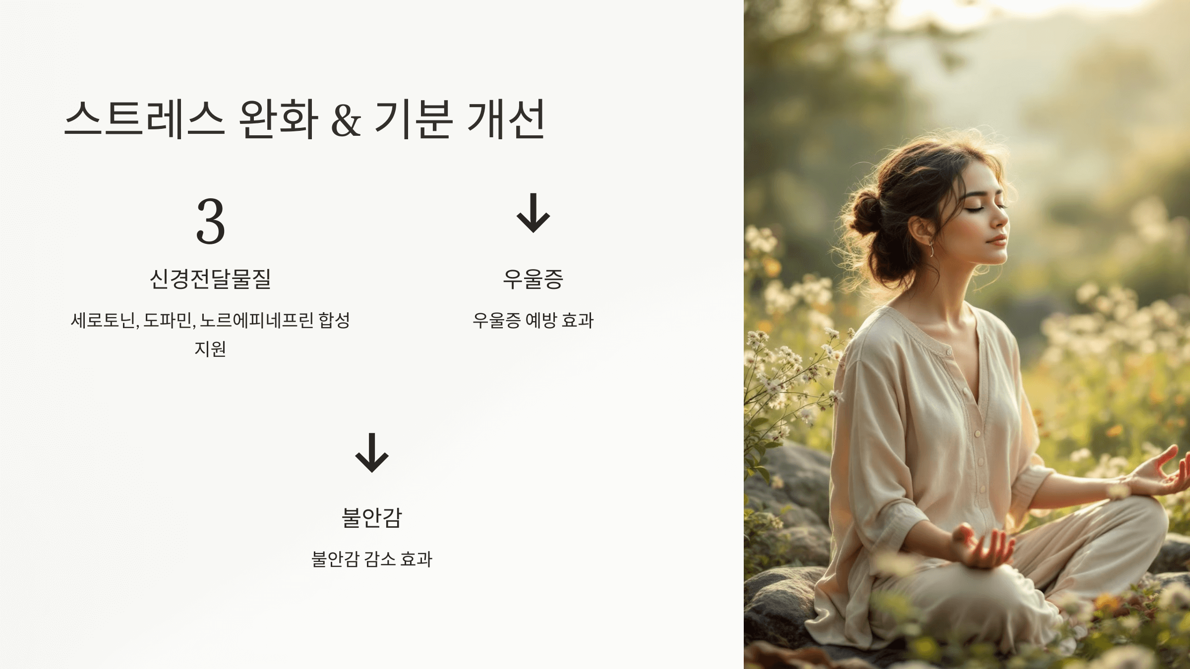 엽산과 관련된 사진입니다.