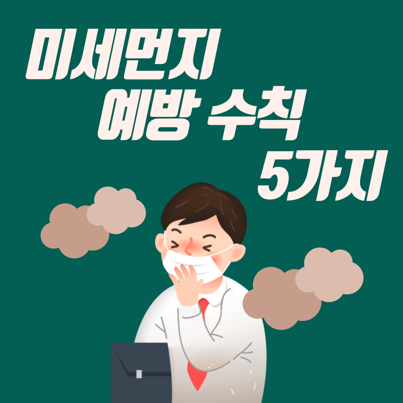  미세먼지로부터 내몸을 지키는 예방법 5가지