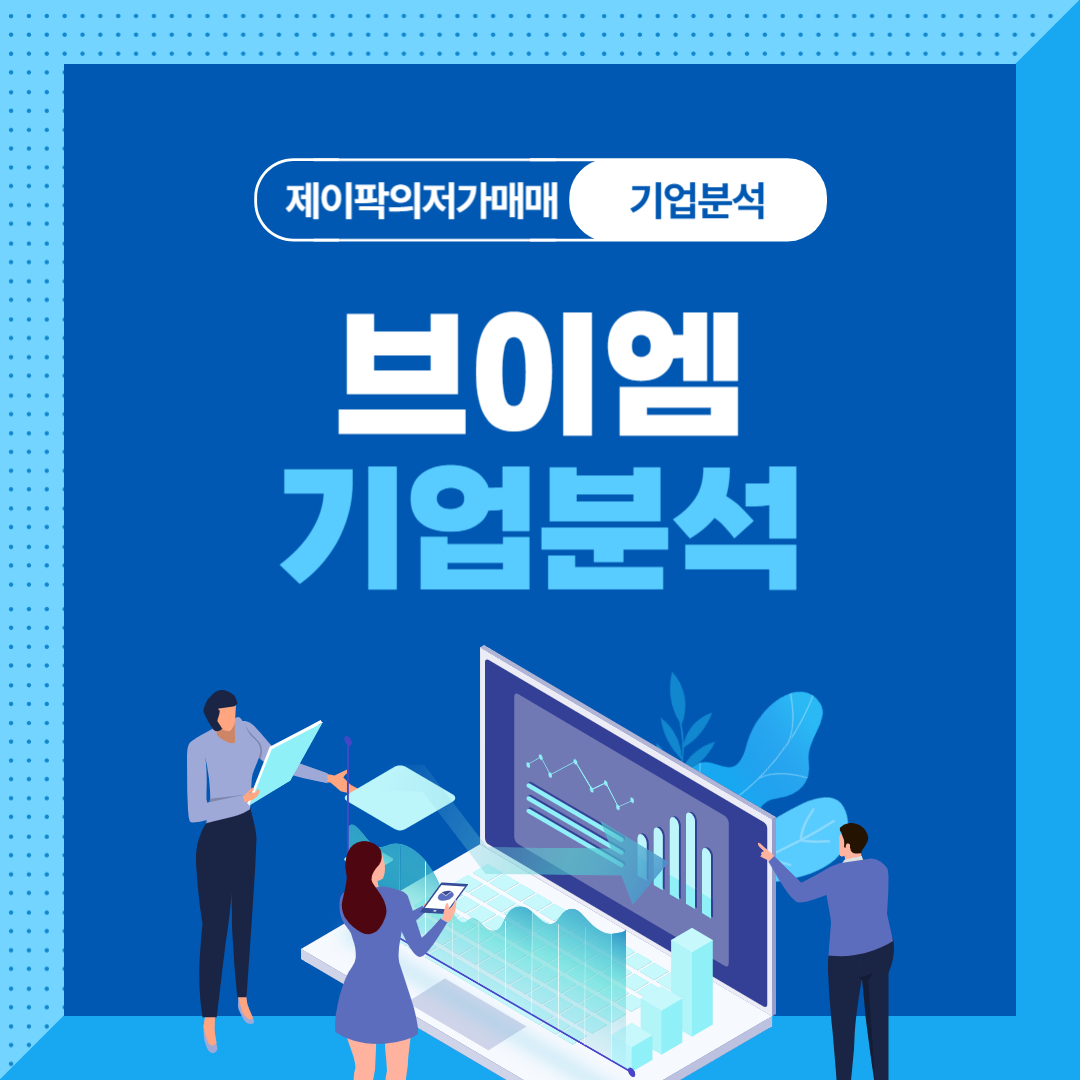 브이엠 기업분석