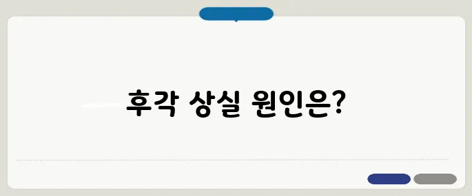 냄새를 못맡는 증상 후각 신경 손상일 수도 있어요