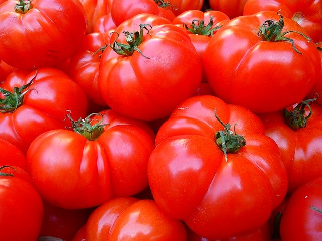 임신 초기에 좋은 음식 토마토