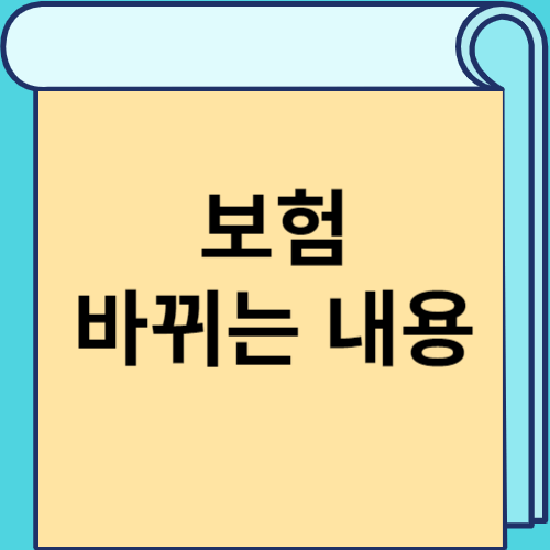 보험 바뀌는 내용 썸네일